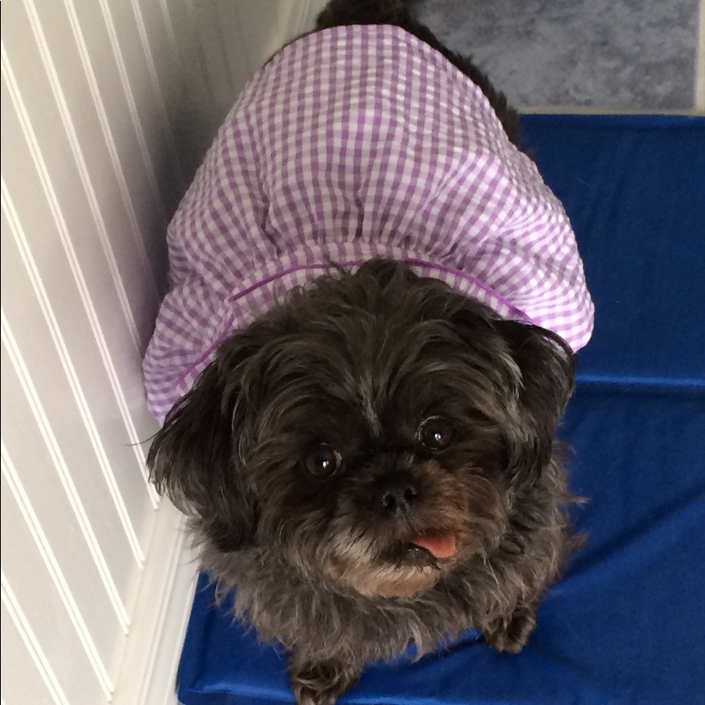 GO AHEAD!!!  MAKE ME AN OFFER